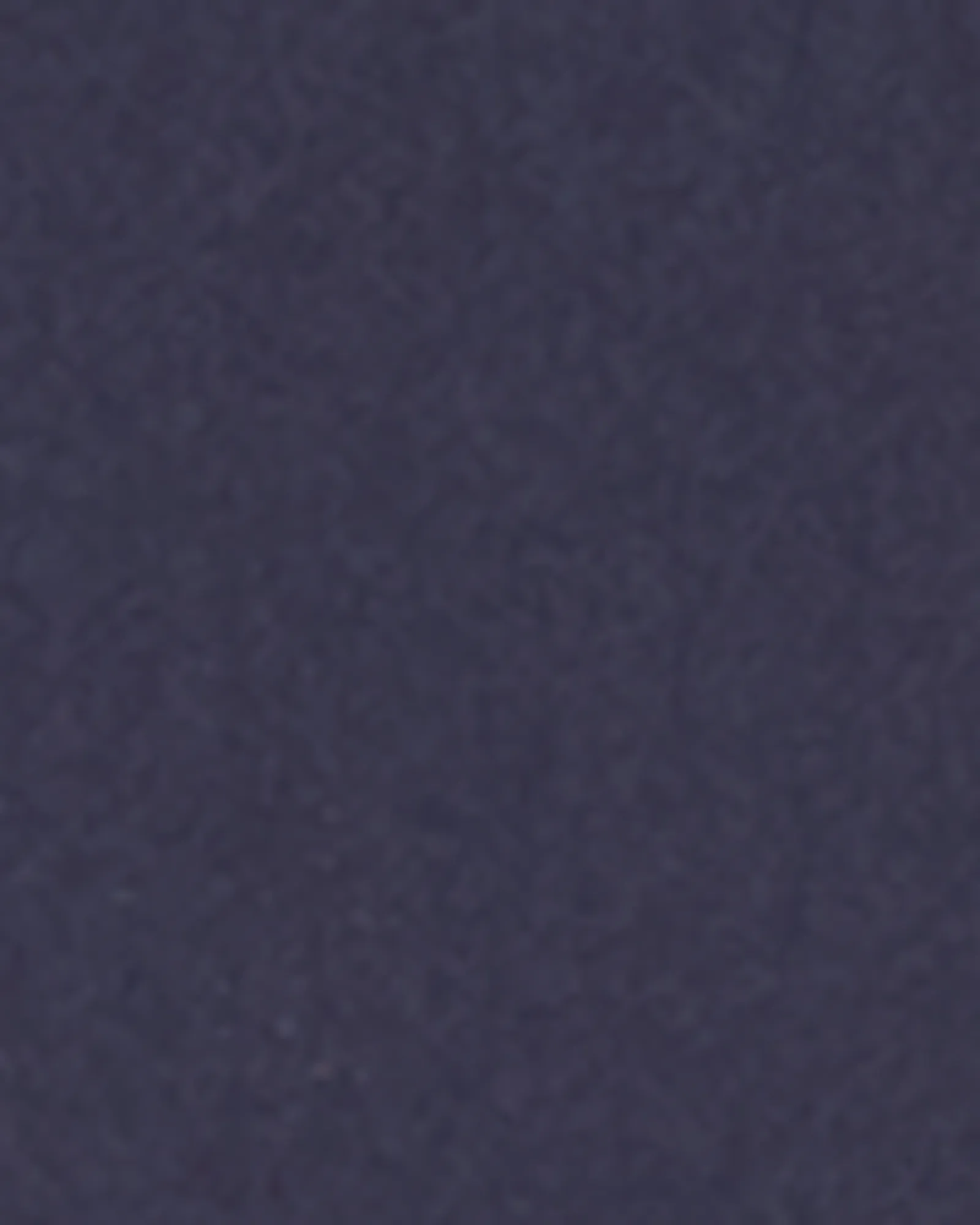 Nicolette Bermuda Short | Navy